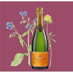 6 bouteilles Cuvée Rosé Brut