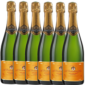 6 bouteilles Cuvée Rosé Brut