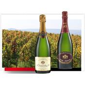 Automne 2020 : 5 bouteilles Brut RÉSERVE + 1 Bouteille PRESTIGE Brut