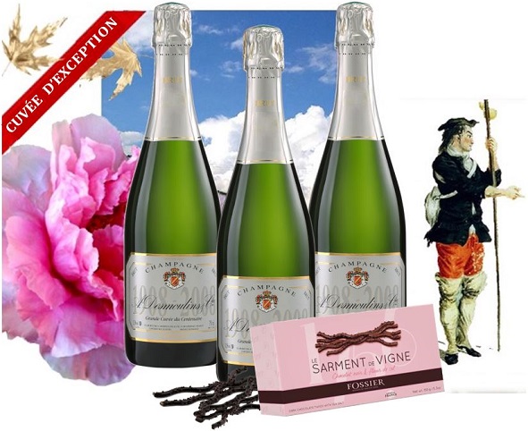 6 bouteilles GRANDE CUVÉE DU CENTENAIRE 2 étoiles GUIDE HACHETTE 2024  + SARMENTS Vigne CHOCOLATS 