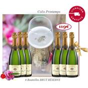 6 bouteilles Cuvée de Réserve Brut