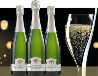 6 bouteilles Cuvée BLANC DE BLANCS