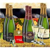 6 bouteilles + 4 Flûtes + Bouchon conservateur CADEAUX