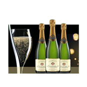 1ER COUP DE COEUR : SÉLECTION "PRINTEMPS" 6 BOUTEILLES BRUT RÉSERVE