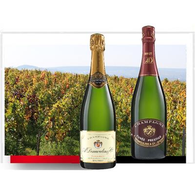 Noël 2020 : 4 bouteilles Brut RÉSERVE + 2 Bouteilles PRESTIGE