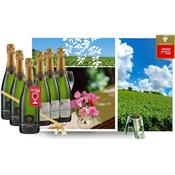 Guide Hachette : 3 bouteilles Cuvée du Centenaire + 3 Bouteilles Brut Royal