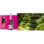 PASSION CHAMPAGNE