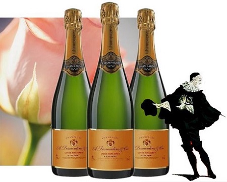 6 bouteilles Cuvée Rosé Brut