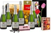 6 bouteilles GRANDE CUVÉE DU CENTENAIRE 2 étoiles GUIDE HACHETTE 2024  + SARMENTS Vigne CHOCOLATS 