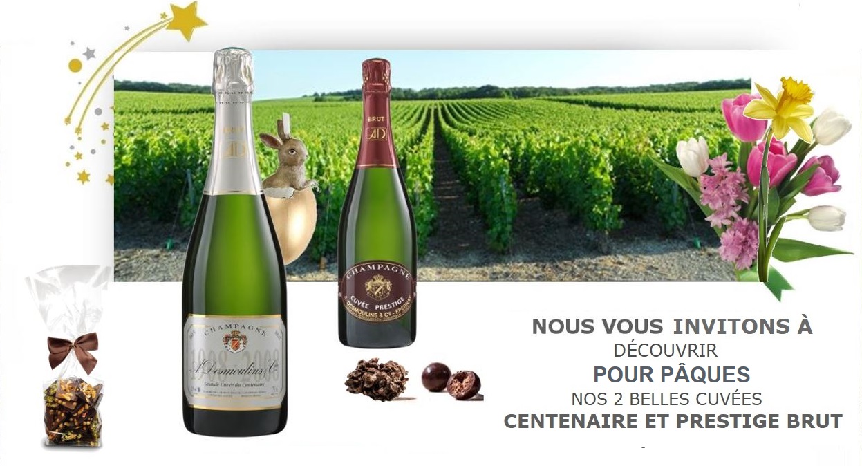 Image DIAPO 2 Les 2 caisses COUP DE COEUR mises en AVANT OK 