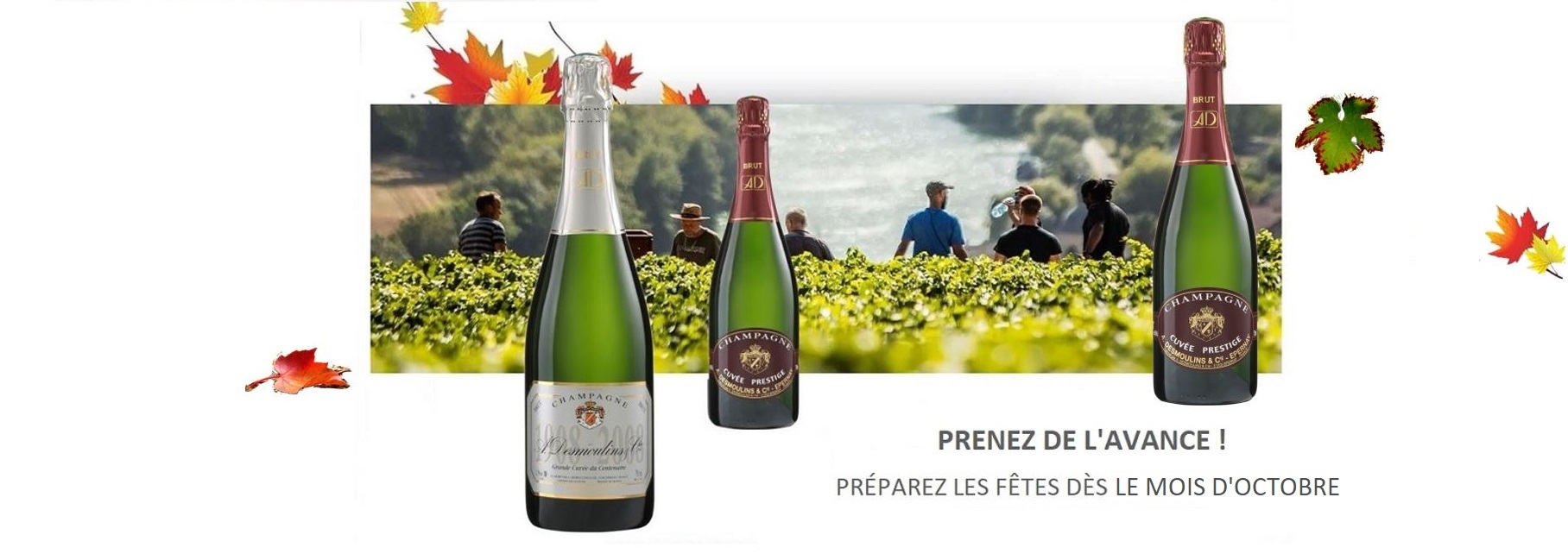 Image DIAPO 2 Les 2 caisses COUP DE COEUR mises en AVANT OK 